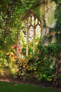 an old building with ivy growing on it's walls and a window in the middle