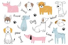 dogs are drawn in different colors and sizes, with the words dog written on them