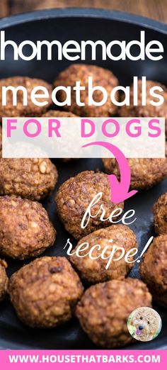 homemade meatballs for dogs in a pan with text overlay that reads, homemade meatballs for dogs free recipe