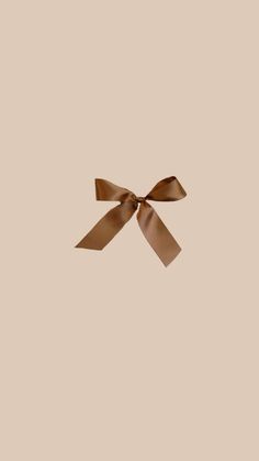 a brown bow on top of a tan wall in the shape of a ribbon or something