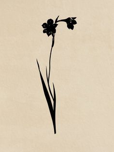 a black and white drawing of a flower on a light colored background with long thin stems