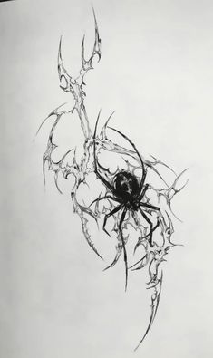 a black and white drawing of a spider