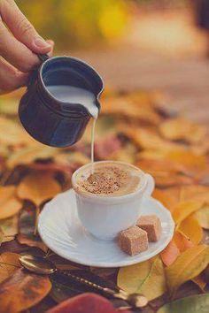 a person pours coffee into a white cup on top of autumn leaves with sugar cubes in the foreground