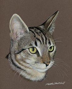 a drawing of a cat with green eyes