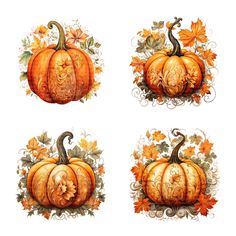 four pumpkins decorated with leaves and flowers on a white background, all in different designs