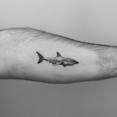 a black and white photo of a hand with a shark tattoo on it's arm