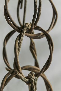 a bunch of vines hanging from a light fixture in the shape of a ball or chain