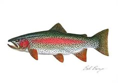 a rainbow colored fish with spots on it's body