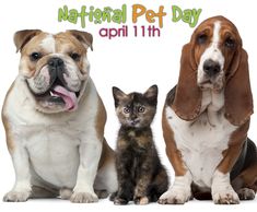 two dogs and a cat sitting next to each other in front of a sign that says national pet day