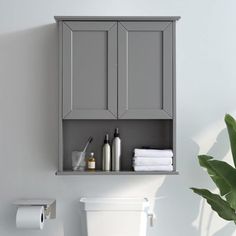 a white toilet sitting next to a wall mounted cabinet above it's tank cover