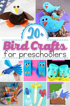 20 bird crafts for preschoolers to make