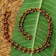 Embrace the divine with this beautifully handcrafted 5 Mukhi Rudraksha Mala featuring elegant copper capping. This sacred necklace is perfect for spiritual seekers, yogis, and meditators ️. The 5 mukhi Rudraksha is known for promoting inner peace, clarity, and overall well-being 🌿, making it an essential tool for daily meditation and mindfulness practices 🕉️. The intricate copper capping not only enhances durability but also adds a stunning aesthetic appeal to this mala, perfect for both spiri Rudraksha Mala Gold For Men, Rudraksh Pendant For Men, Silver Rudraksha Mala, 5 Mukhi Rudraksha, Rudraksh Mala, Tibetan Mala, Buddhist Mala, Yoga Mala, Rudraksha Mala