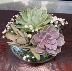 a glass bowl filled with succulents and baby's breath