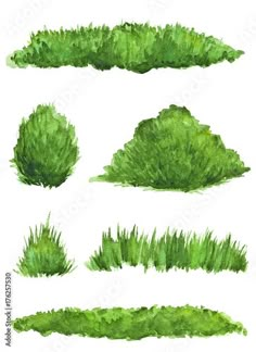 green grass set on white background with clippings for text or image, watercolor style