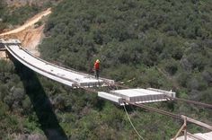 a man standing on top of a bridge in the middle of a forest with lots of trees