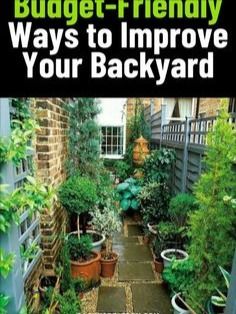 a book cover with an alley way surrounded by potted plants