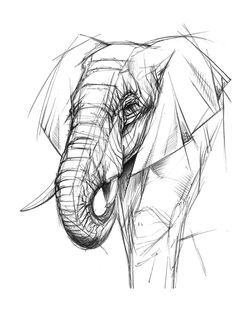 an elephant's head is drawn in black and white with scribbled lines