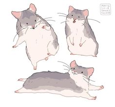 three different types of mouses sitting next to each other