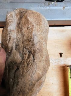 a person holding a rock in front of a piece of wood with tools on it