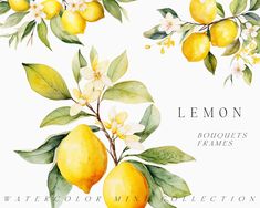 watercolor painting of lemons with leaves and flowers