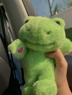 a person holding a green stuffed animal in their hand