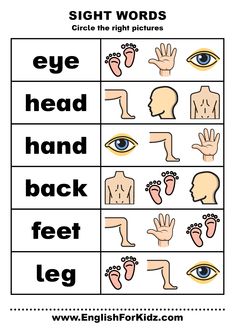 Sight words body parts - ESL worksheet Printable Sight Words, Body Parts For Kids, Sight Words Worksheets, Body Preschool, Body Parts Preschool, Kindergarten Phonics Worksheets, English Worksheets For Kindergarten, English Teaching Materials, Basic Anatomy And Physiology