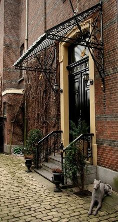 the dog is walking down the cobblestone street in front of an old brick building