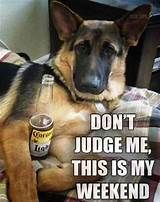 a german shepherd dog sitting on top of a bed next to a bottle of beer