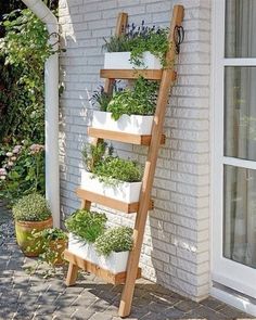 a wooden ladder with plants growing on the side of it and some potted plants