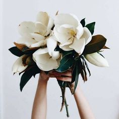 a woman holding a bouquet of white flowers in her hands with greenery on top