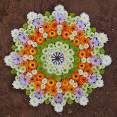 an overhead view of flowers arranged in a circular pattern on the ground with dirt behind them