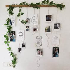 a bunch of pictures hanging on a wall next to a wooden stick and some plants