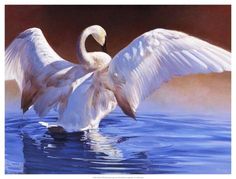 a painting of a swan with its wings spread out in the water