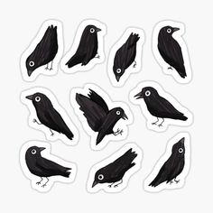 nine black crows stickers on a white background