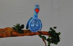 a blue bird sitting on top of a tree branch