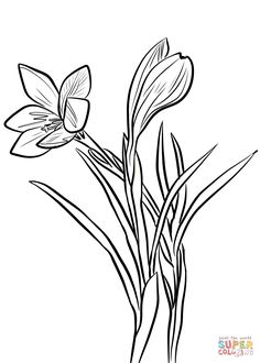 a black and white drawing of two flowers