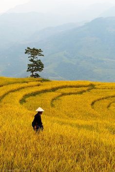 a person walking through a field with mountains in the background