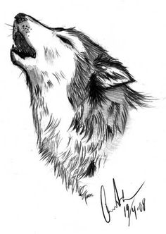 a drawing of a wolf with its mouth open