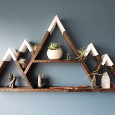 a shelf with some plants and other items on it in front of a blue wall