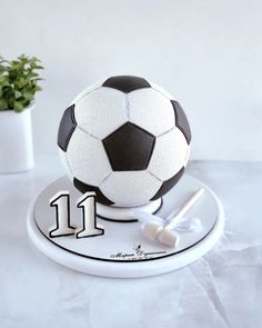 a soccer ball cake sitting on top of a white plate next to a potted plant