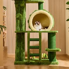 a cat sitting in a green kitty tree house with stairs and scratching board on the floor