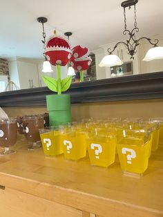 there are many cups on the counter with question marks in them and a flower sticking out of one