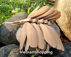 a bunch of wooden paddles laying on top of some rocks in the grass with words vietnam shopping written below them