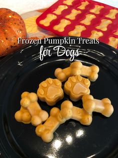 frozen pumpkin treats for dogs on a black plate