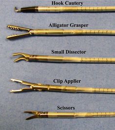 four different types of dental instruments on a blue surface with the words, hook cutters alligator grasper small dissector clip applier scissors