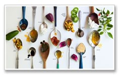 spoons with different types of food on them are arranged in a horizontal pattern, including flowers and leaves