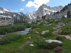 the mountains are covered in snow and green grass, with flowers growing on the ground