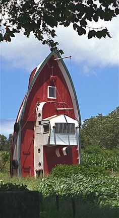 a red barn with a white roof and windows on it's side is surrounded by tall grass