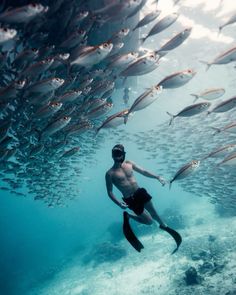 a man swimming in the ocean surrounded by fish