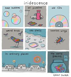 the comic strip shows different types of bubbles and other things that are in front of them